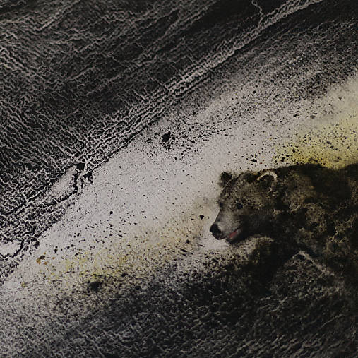 "Macko hnedý" (akvarel)