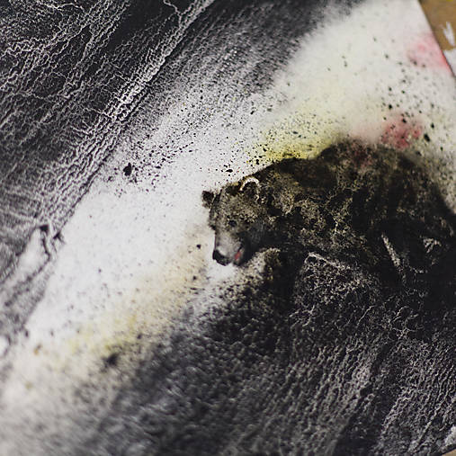 "Macko hnedý" (akvarel)