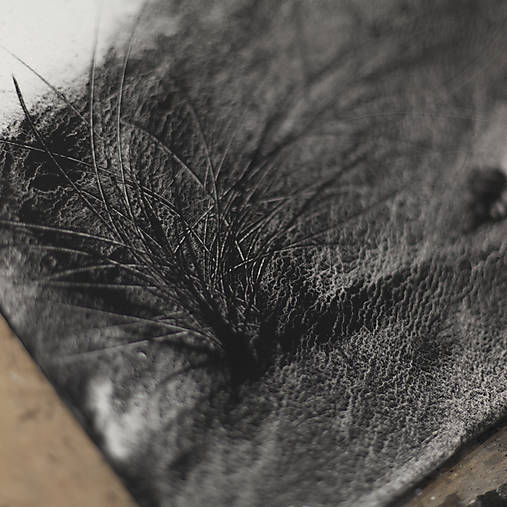 "Tiché miesto" (akvarel)