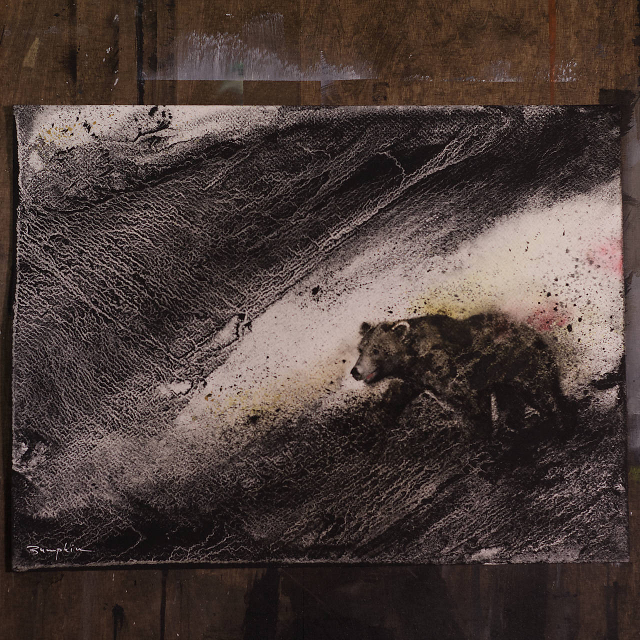 "Macko hnedý" (akvarel)