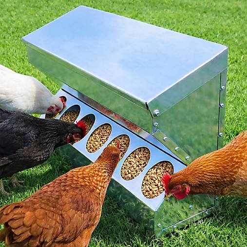 Pre zvieratá - Krmitko zavesne na stenu pre sliepky 10-litrove - 18215833_