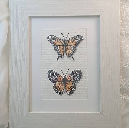 Obrázok Dva motýle