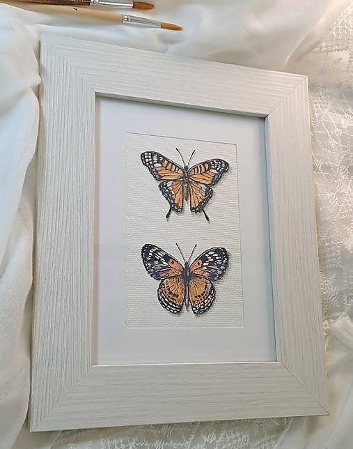 Obrázok Dva motýle