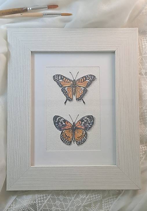 Obrázok Dva motýle