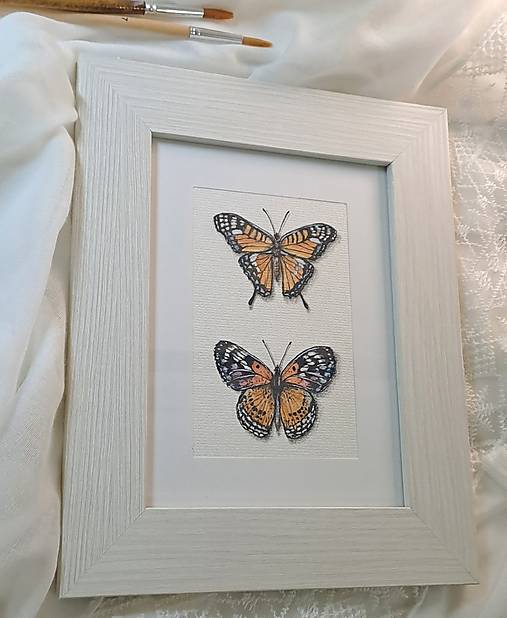 Obrázok Dva motýle