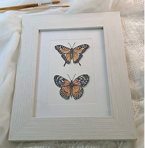 Obrázok Dva motýle