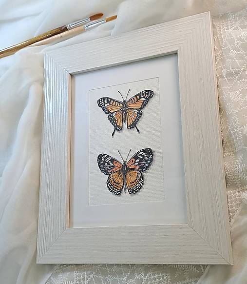 Obrázok Dva motýle