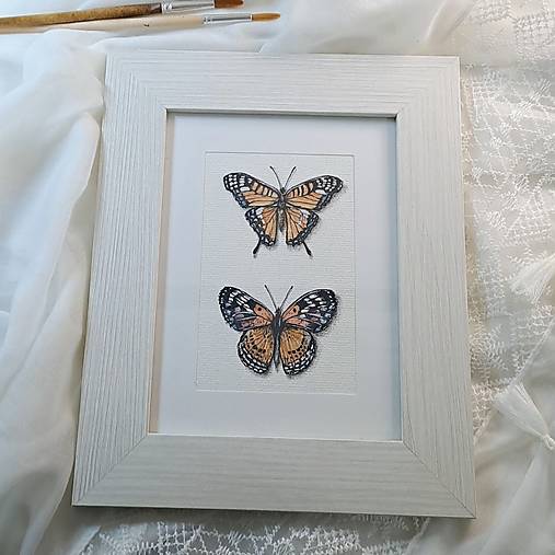 Obrázok Dva motýle