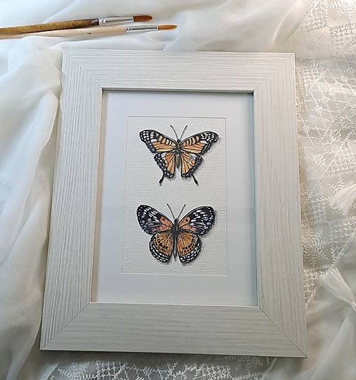 Obrázok Dva motýle