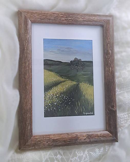 Obrázok v ráme 053