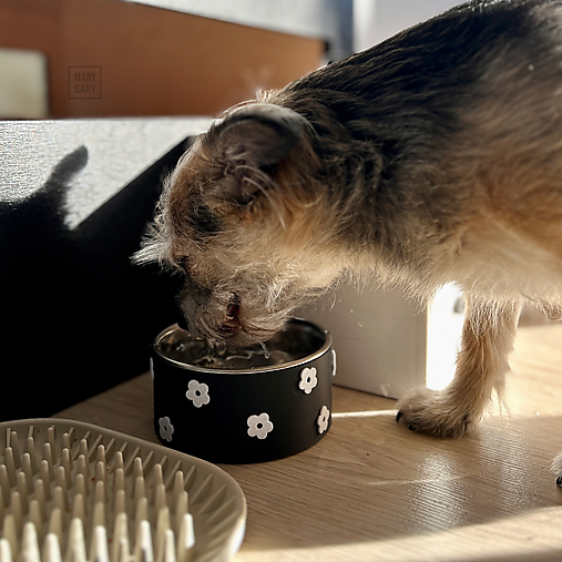 Pre zvieratá - MARYBARY Miska pre psa a mačku ČIERNO-BIELA KVETINKA - viac veľkostí - 18217924_