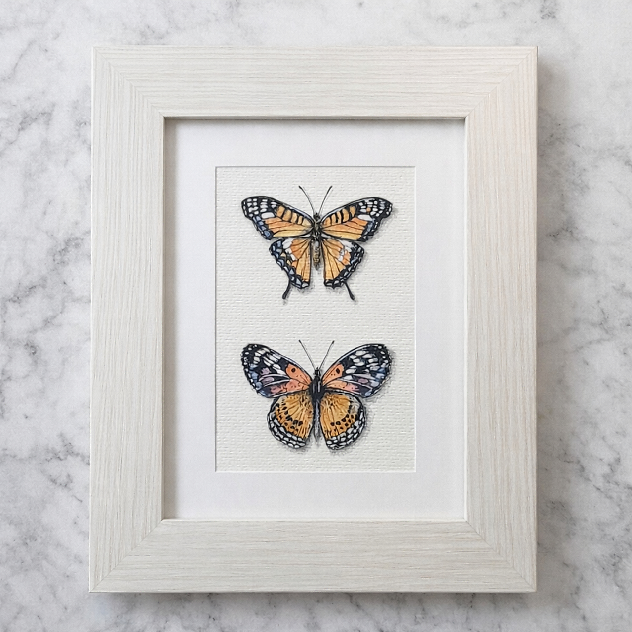 Obrázok Dva motýle