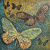 Obrazy - Motýle 40x40 - 18225620_