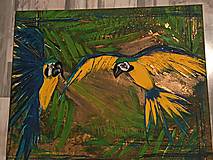 Obrazy - Ara - 18230004_