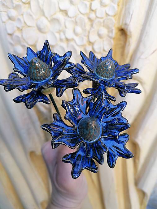 Dekorácie - Eryngium tmavomodré - 18230771_