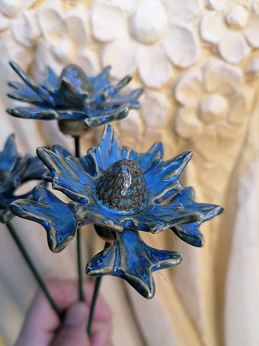 Dekorácie - Eryngium bledomodré - 18230791_