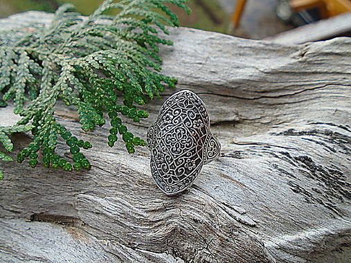 Strieborny prsteň Ag925 Secret Garden