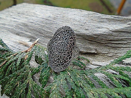 Strieborny prsteň Ag925 Secret Garden