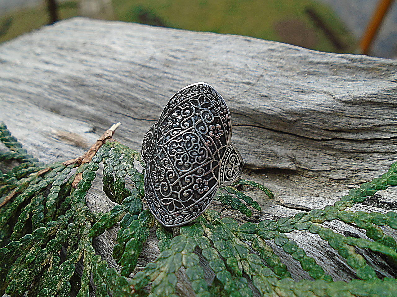 Strieborny prsteň Ag925 Secret Garden