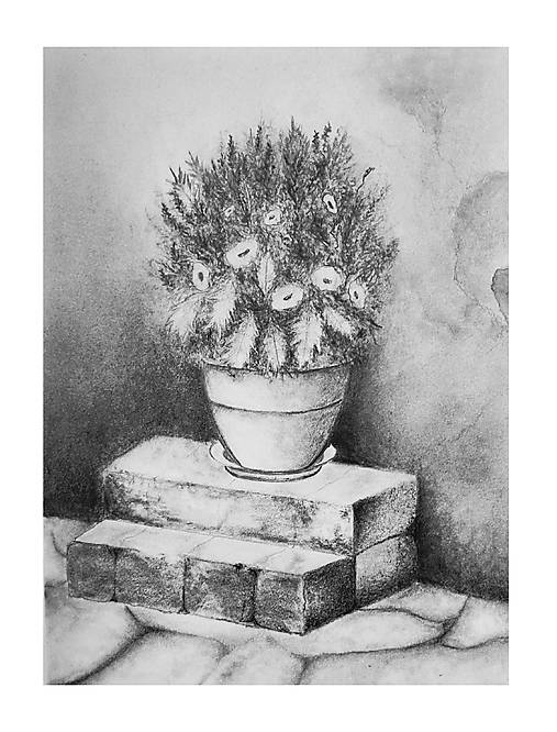 Obrazy - Kvetináč - Kresba - 18236262_