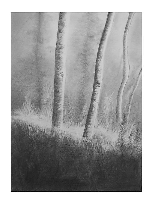 Obrazy - Stromy - Kresba - 18236265_