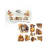 Papier - Scrapbook papier 8x8 In Autumn Colors - 18237307_