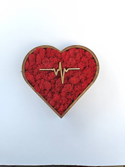Obrazy - Machové srdce Ekg - 18236380_