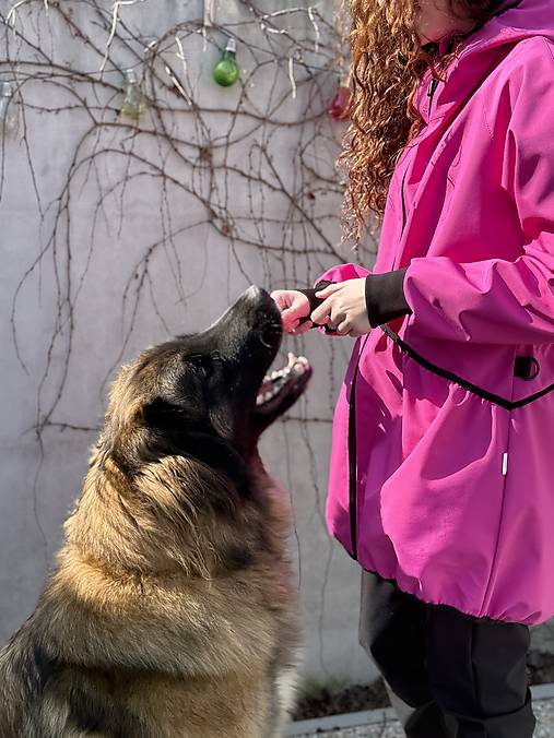 Výcviková bunda cyklamen