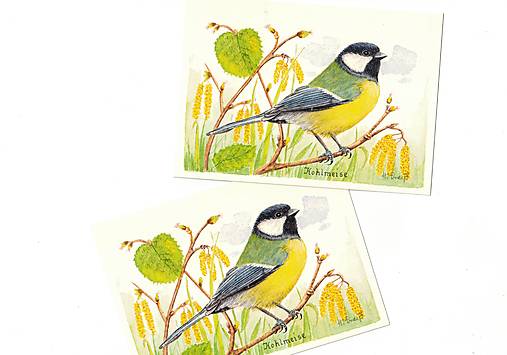 Papier - Pohľadnica " Sýkorka veľká" - 18257045_