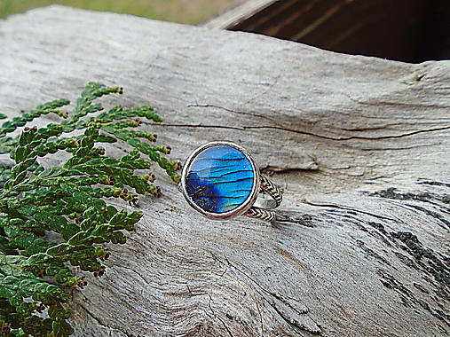 Strieborny prsteň Ag 925 Labradorit