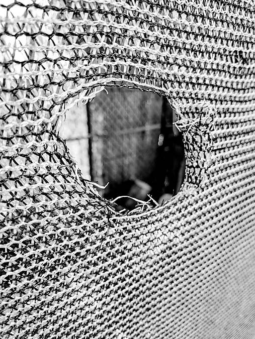 Fotografie - Diera - Fotografia - 18278661_