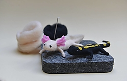 Kurzy - Kurz plstenia: Mloky - axolotl a salamandra, v Bratislave - 18282226_