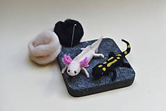 Kurzy - Kurz plstenia: Mloky - axolotl a salamandra, v Bratislave - 18282227_