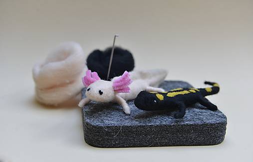 Kurzy - Kurz plstenia: Mloky - axolotl a salamandra, v Bratislave - 18282226_