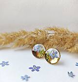 Náušnice - Okrúhle pozlatené náušnice s nezábudkou - 18283210_