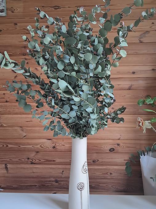 Dekorácie - Sušený eukalyptus - kytica, zväzok - 18287996_