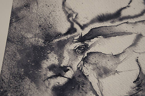 "Posledná jedľa" (print A4)