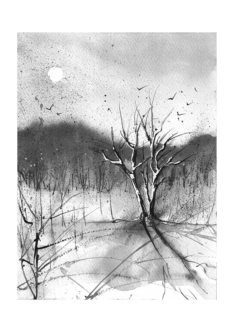 "Havrania lúka" (print A4)