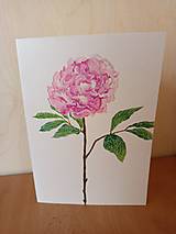 Kresby - Pivoňka v něžném objetí akvarelu - 18290927_