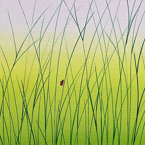 Svitanie na letnej lúke, originál 40x40