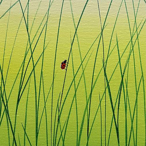 Svitanie na letnej lúke, originál 40x40