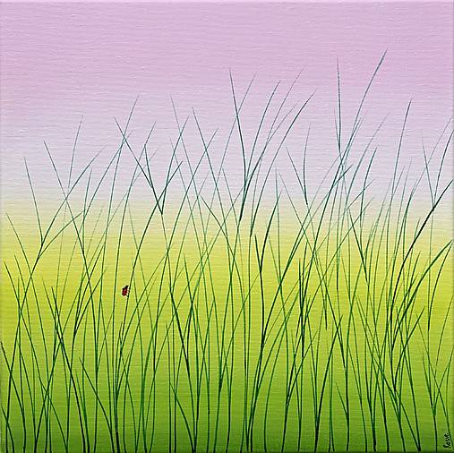 Svitanie na letnej lúke, originál 40x40