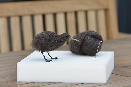 Kurzy - Kurz plstenia: Vtáčik kiwi - 27.5., v Bratislave - 18311107_