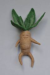 Dekorácie - Mandragora - 18319464_