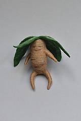 Dekorácie - Mandragora - 18319465_