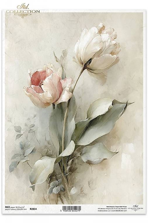 Papier - Ryžový papier - 18334701_