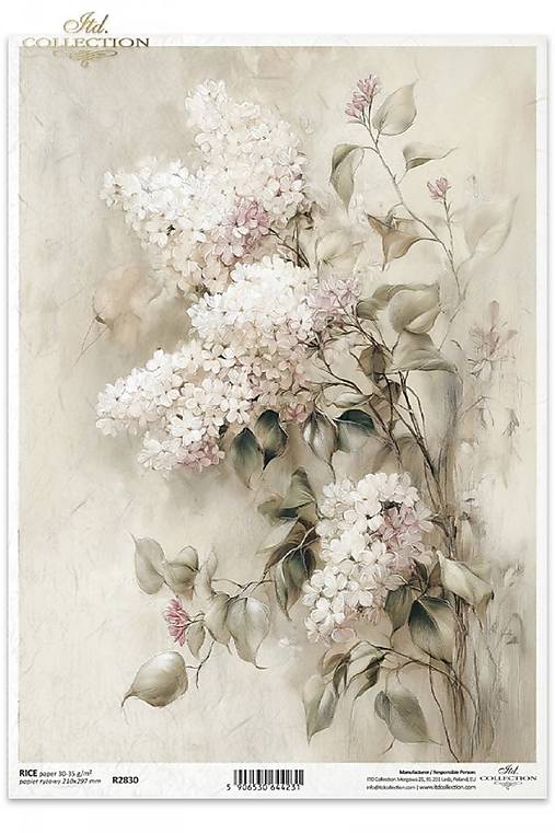 Papier - Ryžový papier - 18334709_