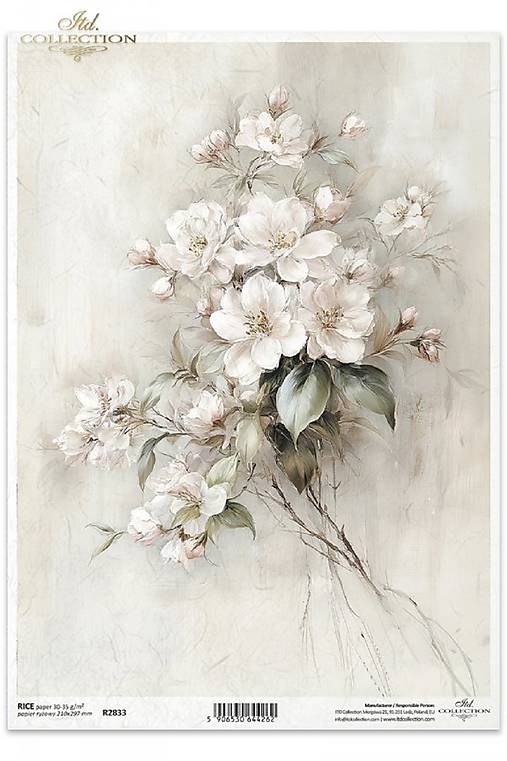 Papier - Ryžový papier - 18334756_
