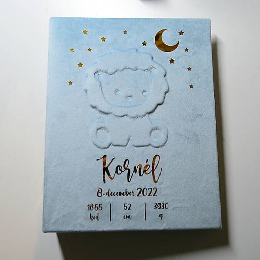 Personalizovaný fotoalbum Lev
