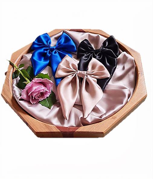 Silk Bow | Elegantná hodvábna mašľa ✨